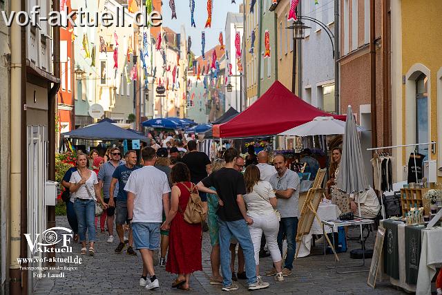 Foto Laudi Donaugassenfest-28.jpg
